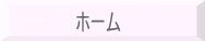 儂乕儉