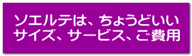 \GéA傤ǂ TCYAT[rXAp