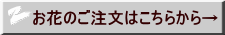 Ԃ̂͂炩灨