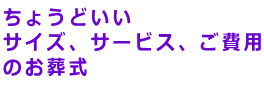 傤ǂ TCYAT[rXAp ̂